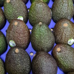 Hass Avocado - Peru - 2 ลูก