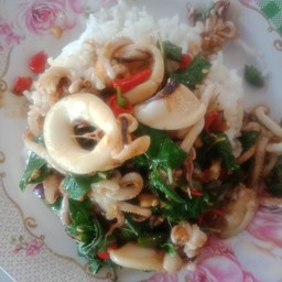 ข้าวผัดกระเพราปลาหมึก