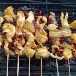 เอ็นปลาหมึกNm