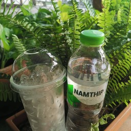 น้ำดื่มตราทิพย์ พร้อมน้ำแข็ง