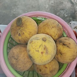 ตำบักต้อง