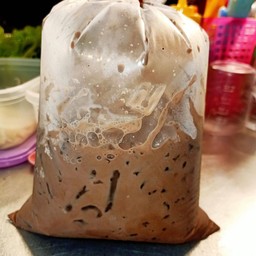 #ไมโลเย็น