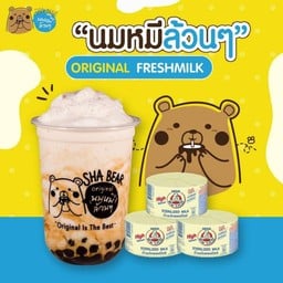 SHA BEAR นมหมีล้วนๆ - แยกนาวิกฯ สัตหีบ