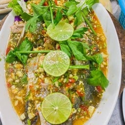 ปลากระพงเกยตื้น