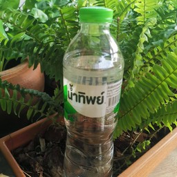 น้ำดื่มตราทิพย์ แช่เย็น