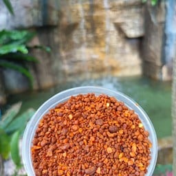 ร้านแกงหอยขม