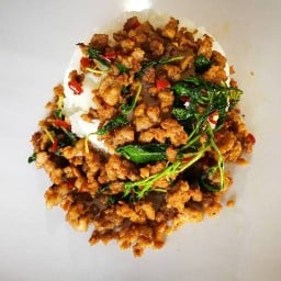 กะเพราตึกแดง