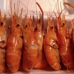 รวมมิตรทะเลมหานาค