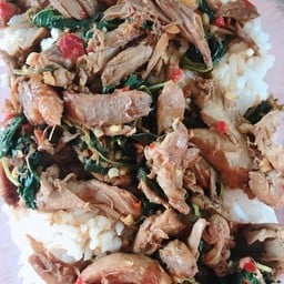 ข้าวราดผัดกะเพราเป็ด