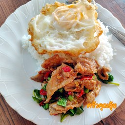 กะเพราหมูชิ้น+ไข่ดาว