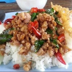ผัดกะเพราราดข้าว