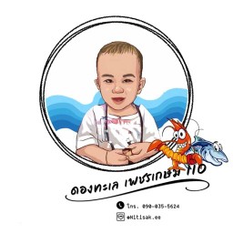 ดองทะเล เพชรเกษม 110