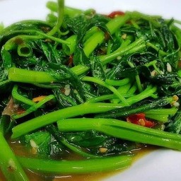 ผักบุ้งไฟแดง