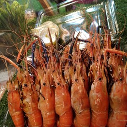 กุ้งเผาไซต์กลาง 1โล