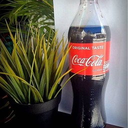 โค้ก 500 ml
