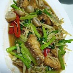เนื้อปลาเก๋าผัดขึ้นฉ่าย