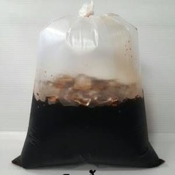 โอเลี้ยง