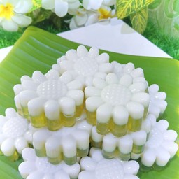 วุ้นกะทิใบเตย
