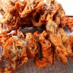โครงไก่