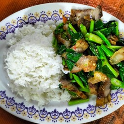 ข้าวราดคะน้าหมูกรอบ