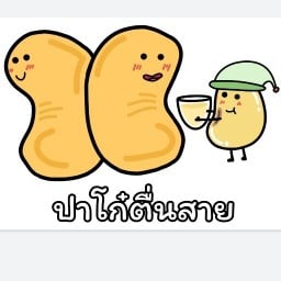 ปาโก๋ตื่นสาย  วุฒากาศ
