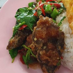ผัดพริกแกงปลาดุกกรอบ (กับข้าว)
