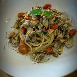 VONGOLE