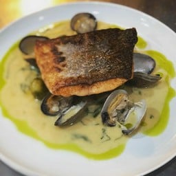 KING SALMON