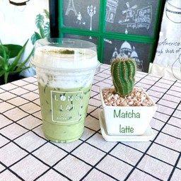 มัทฉะ (matcha)