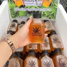 Cannabis Tea กัญญ์ชา
