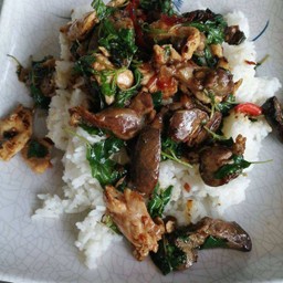 ข้าวลาดกะเพราไก่