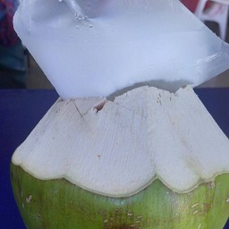 อินเลิฟโคโค่