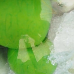 ฝรั่งแช่บ๋วย