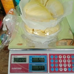 ทุเรียนมณฑิตา