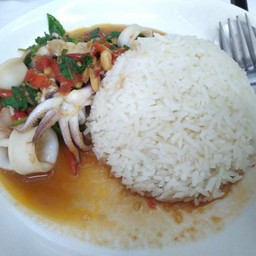 กระเพราปลาหมึกราดข้าว