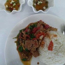 กระเพราหมูราดข้าว