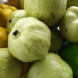 ฝรั่งสด