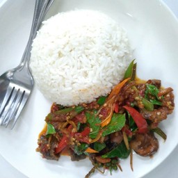 ผัดเผ็ดหมูป่าราดข้าว