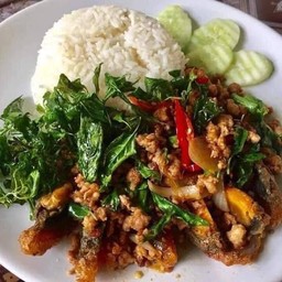 ข้าวกะเพราหมูสับไข่เยี่ยวม้า