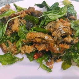 ขุนแผนปลาดุก