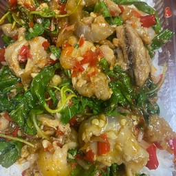 ข้าวกะเพราหมูป่า