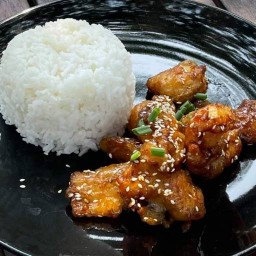 TERI TERI Teriyaki