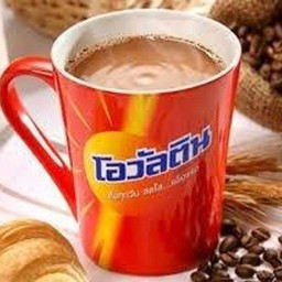 โอวัลตินร้อน