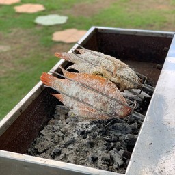 ปลาเผา ตัวใหญ่ไม่ต่ำกว่า 1.2โล ราคาน่ารัก