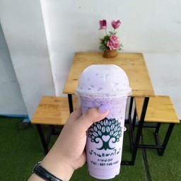 เผือกนมสดเย็น