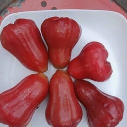 ร้านผลไม้เจ้สาว