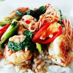 อาหารตามสั่งมิ้งค์มด