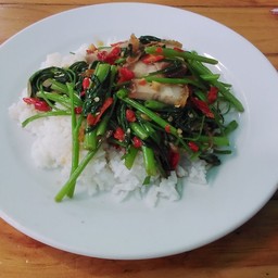 ผัดผักบุ้งราดข้าว