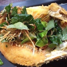 ปลากระพง ทอดสมุนไพร