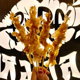 แมงกระพรุน